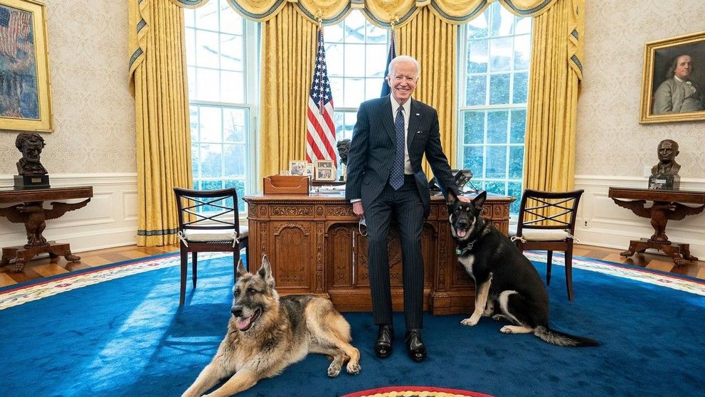 Câinii lui Joe Biden, mutați de la Casa Albă după ce au devenit agresivi. Unde au ajuns patrupedele