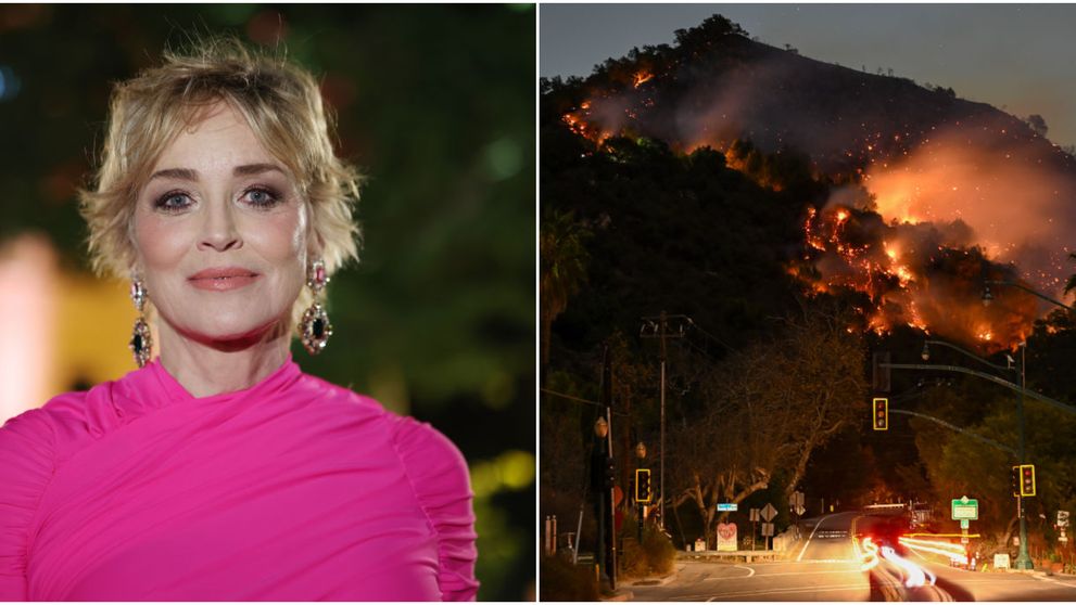 Are un suflet de aur! Gestul pe care l-a făcut Sharon Stone pentru victimele incendiilor din Los Angeles: „Punem paturi peste tot prin casă”