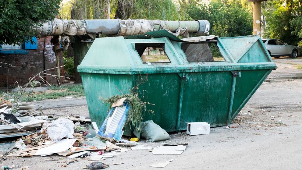 Au auzit zgomote care veneau dintr-un tomberon. Ce au descoperit in interior iti va frange inima