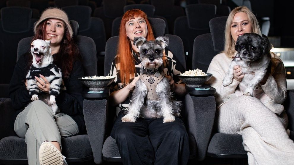 Noi reguli pentru accesul în cinematografe! În ce țară poți intra la film cu animalul tău de companie