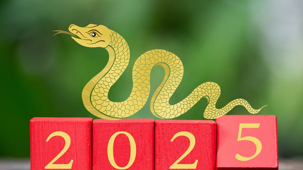 Horoscop chinezesc 2025. Predicții pentru Anul Șarpelui de Lemn pentru fiecare zodie în parte