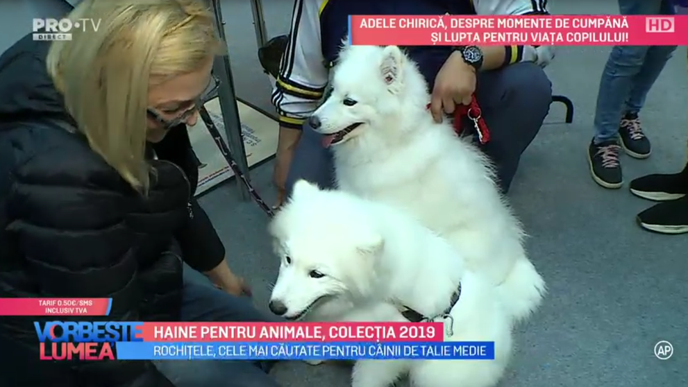 VIDEO Haine pentru animale, colecția 2019