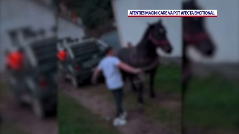 Imaginile care au isterizat internetul! Un cal a fost bătut și obligat să tragă o mașină de teren, iar totul a fost filmat
