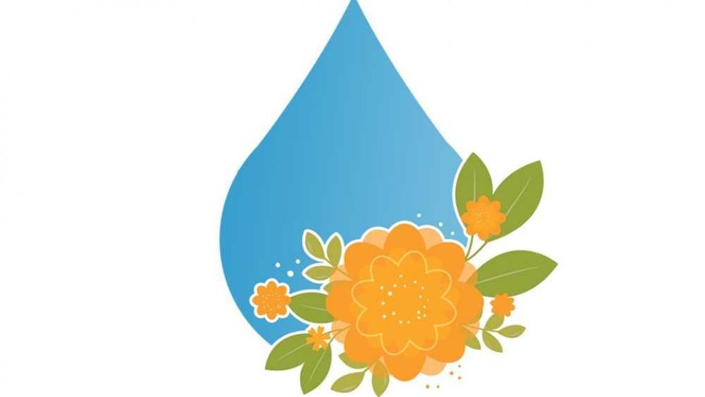 (P) Gelurile cu ulei de la CrisNatur, o porție de natură pentru armonia dintre corp și minte