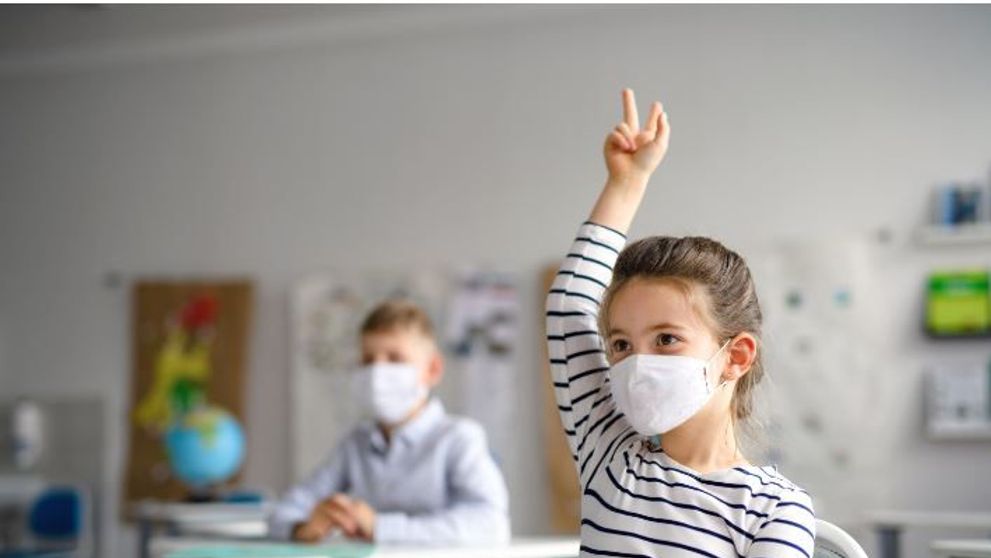 Ce reguli se vor respecta odată cu reînceperea școlii și cum va arăta învățământul de pe 8 februarie?