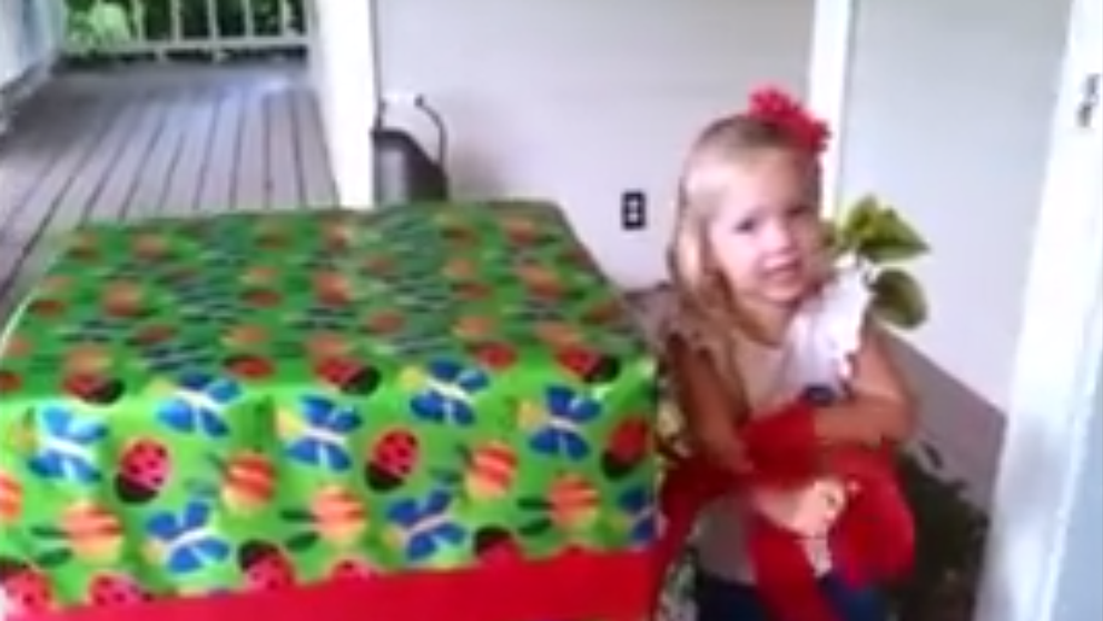 O fetita de trei ani a avut parte de cea mai frumoasa surpriza de ziua ei de nastere. Ce cadou se afla in cutie: VIDEO