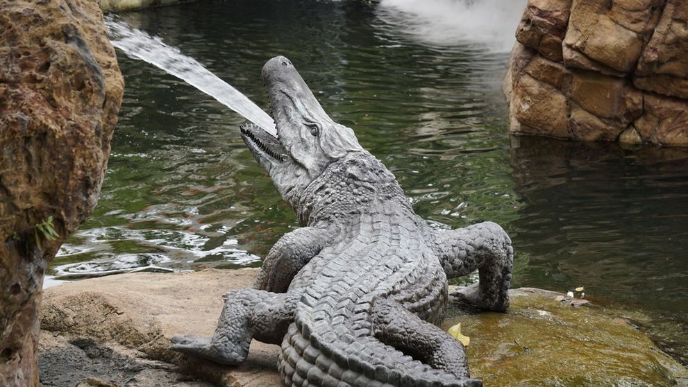 Un copil de 3 ani a fost aruncat în țarcul cu crocodili la o grădină zoologică. Ce s-a întâmplat