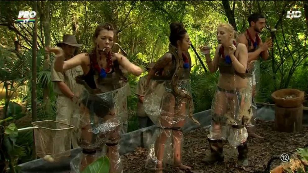 Cum s-au descurcat Ruby, Gina Pistol, Dorian Popa si Alina Plugaru la proba 