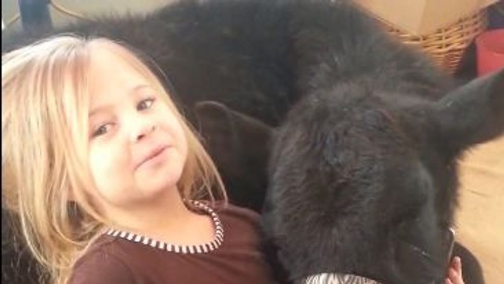 Putine mamici au parte de asemenea surprize din partea copiilor. O fetita de 5 ani a adus acasa un animal de companie mai putin obisnuit