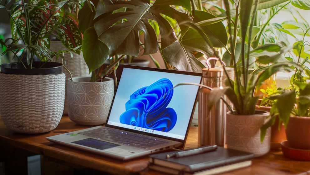 (P) Când este Asus Vivobook o alegere potrivită pentru tine