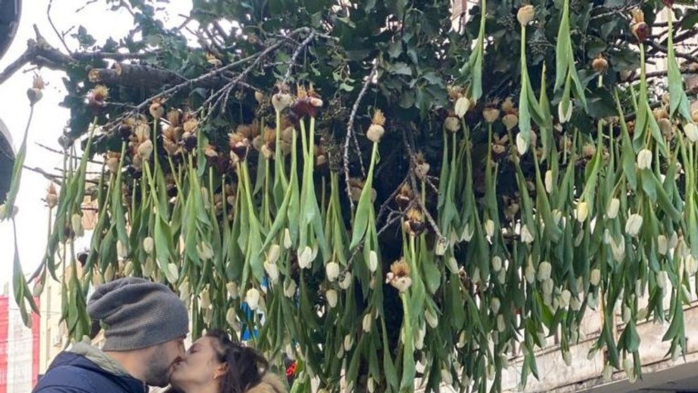 Nicu Bocancea, master florist internațional, a “plantat” copacul cu 600 de lalele pe Calea Victoriei
