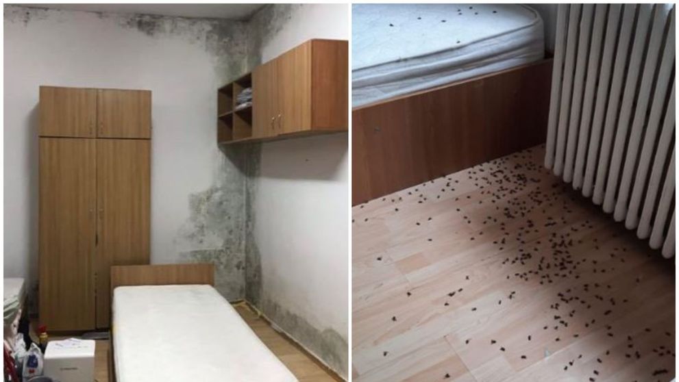 Studenții se revoltă pe TikTok. Igrasie, gândaci și instalații sanitare defecte în căminele Universității de Medicină din Iași