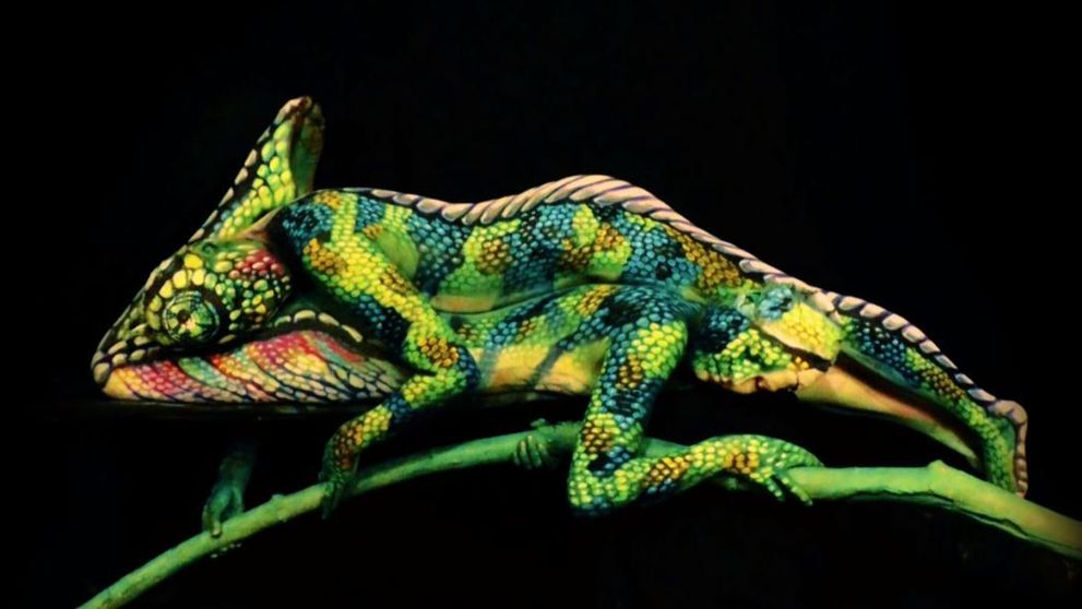 La prima vedere pare a fi un cameleon, insa adevarul este cu totul altul. Tu iti dai seama despre ce e vorba?