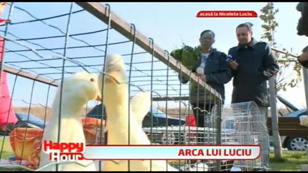 Nicoleta Luciu a avut parte de o surpriza de zile mari! Maruta i-a facut cadou o adevarata gradina zoologica