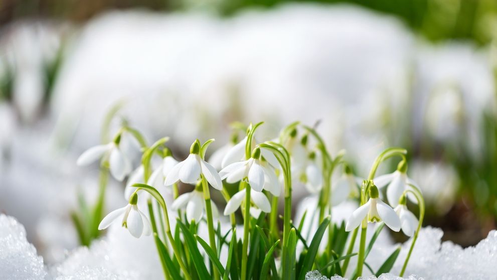 Cum va fi vremea în România în următoarele două săptămâni. Prognoza meteo până pe 15 martie pentru fiecare regiune a țării