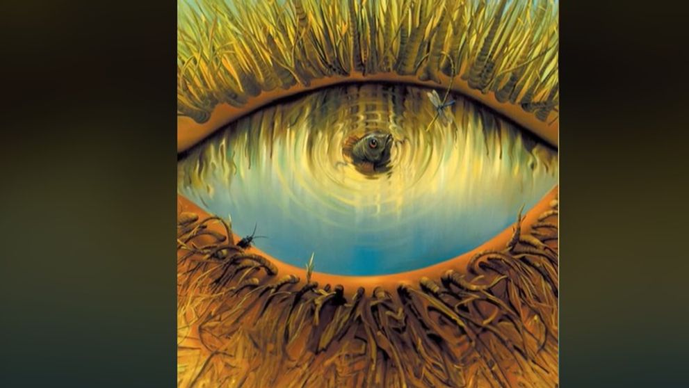 Iluzia optică virală care îți dezvăluie cea mai mare slăbiciune a ta, dar și punctele forte! Tu ce vezi prima oară în această imagine?