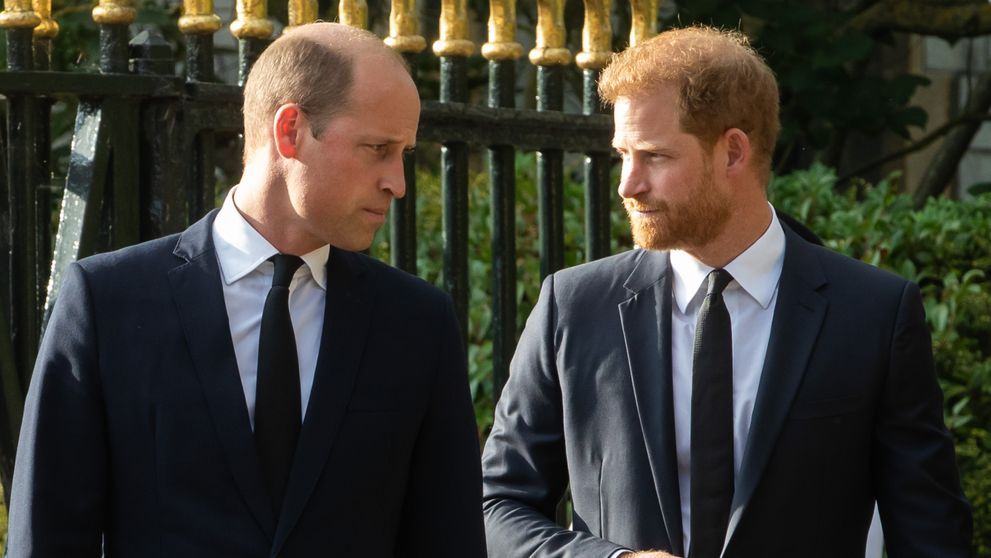 Prințul Harry „nu va fi niciodată iertat” de fratele său William pentru că „a criticat-o pe Kate Middleton pentru bani