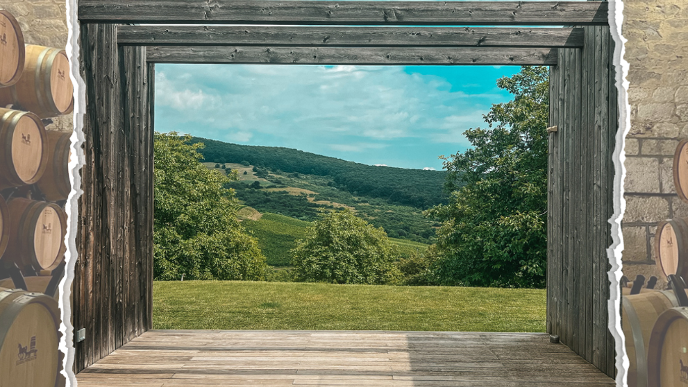 Când începe sezonul 4 Wine Trips România | Show-ul care promovează cramele din România va fi pe PROTV.RO și VOYO