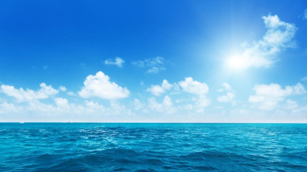 Cunoaște eroii oceanelor - oameni care salvează această sursă a vieții