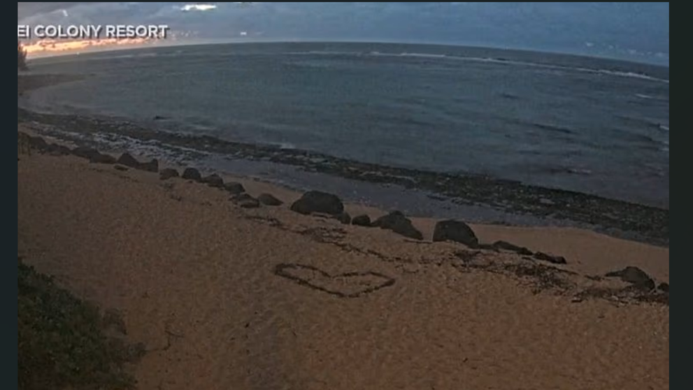 Momentul înfricoșător când apele se retrag de pe plajele din Hawaii, semn că urmează un tsunami. Scenele par desprinse din filme VIDEO