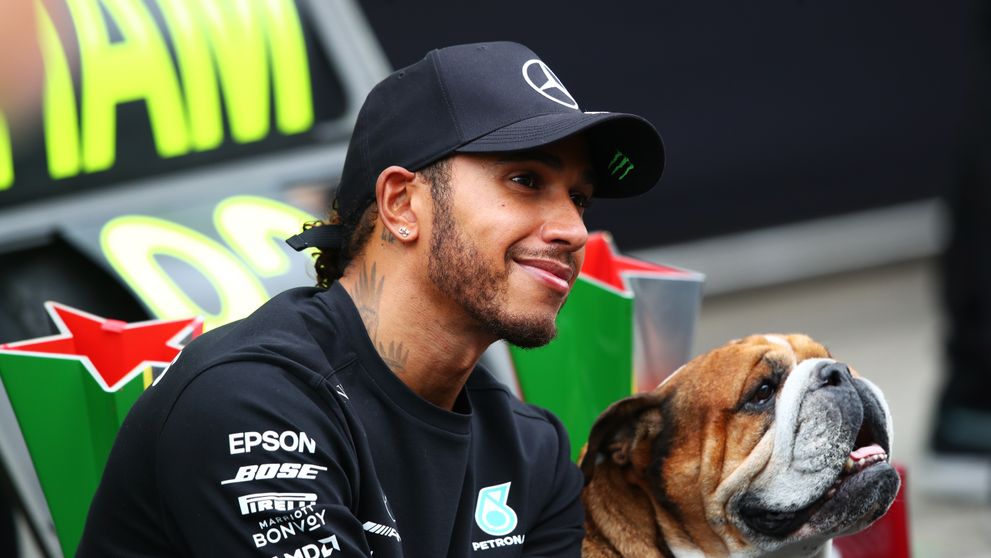 Câinele lui Lewis Hamilton, Roscoe, a murit. Pilotul de Formula 1 este distrus de durere: „Mi-am pierdut cel mai bun prieten”