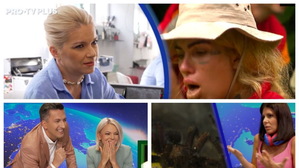 Cum au reacționat vedetele PRO TV la momentele din Sunt celebru, scoate-mă de aici: „Îmi e milă de ele!”