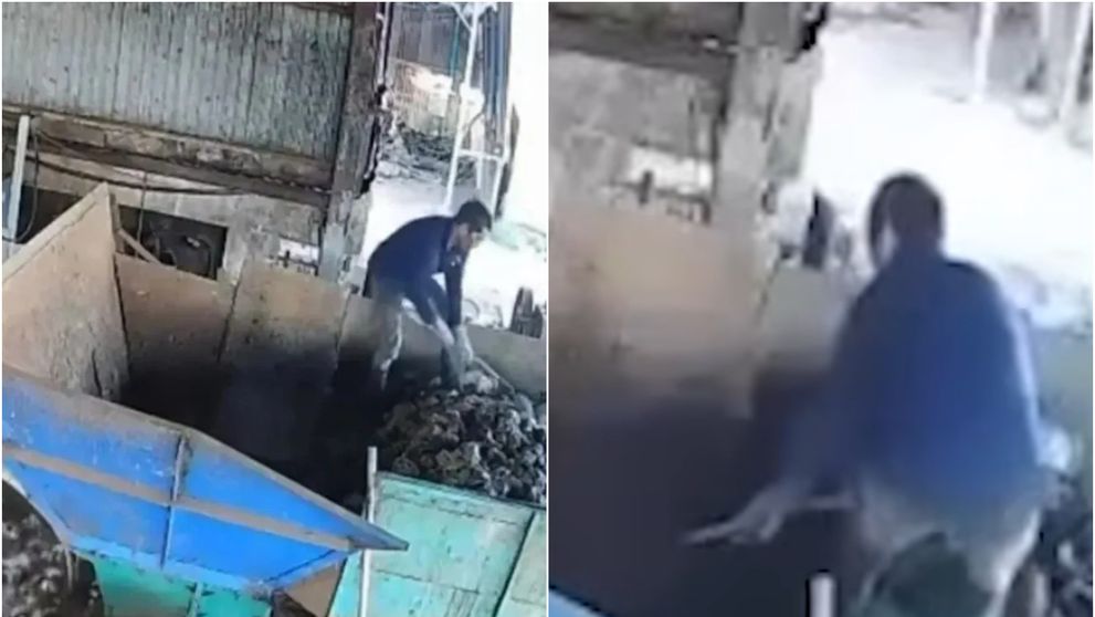 Tragedie într-o fabrică! Momentul în care un muncitor de 34 de ani este înghițit de un tocător industrial uriaș! Ce au surprins camerele de supraveghere