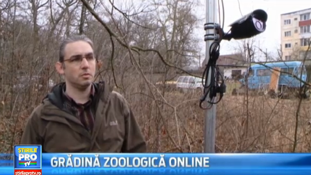Prima gradina zoologica online din Romania. Ideea unui tanar pentru ca animalele sa nu mai fie admirate de dupa gratii