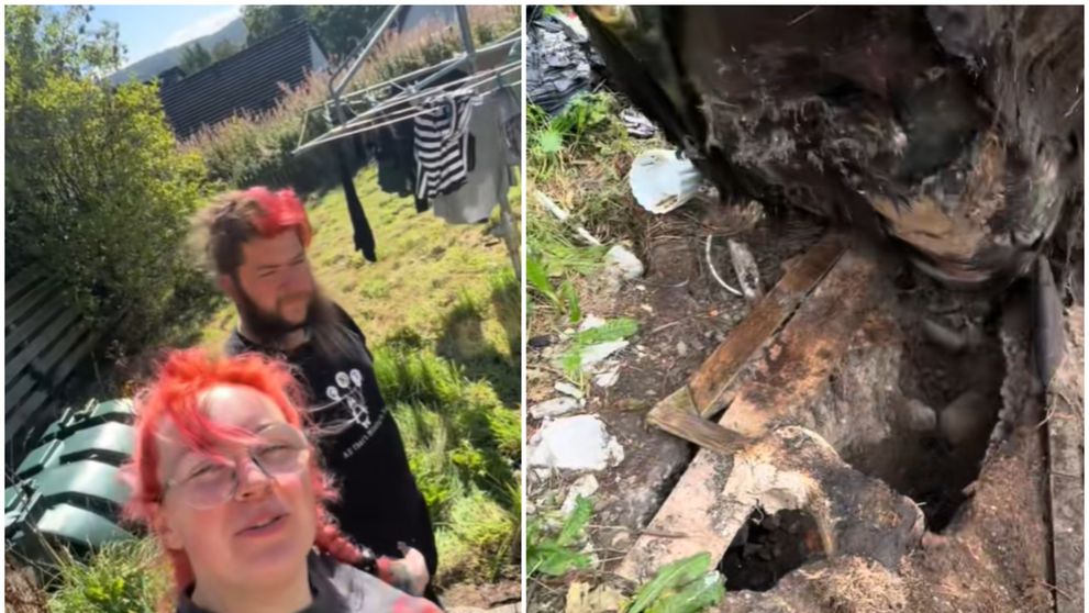 „E un mister”. Descoperirea șocantă făcută de un cuplu în curtea casei lor! Imaginile au adunat peste două milioane de vizualizări