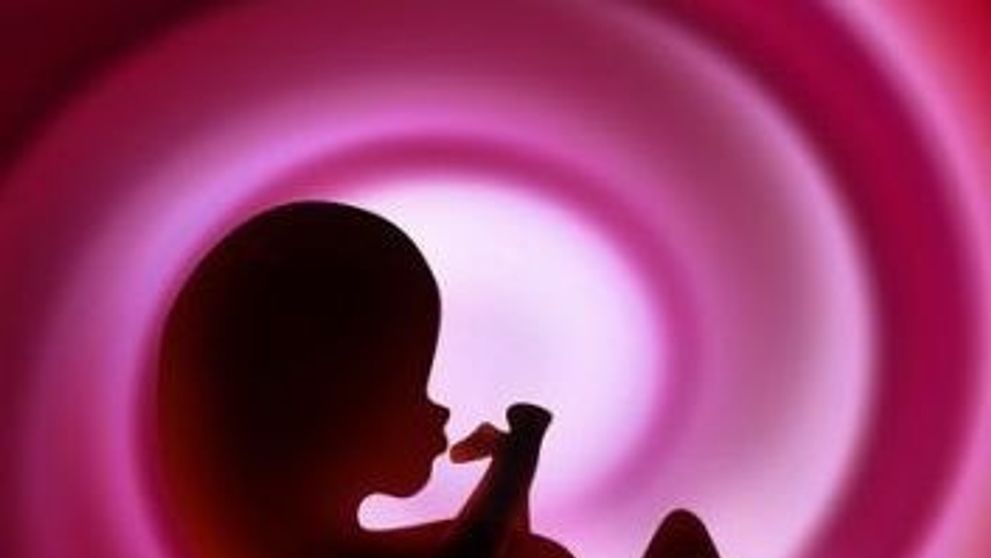 Sarcina pe saptamani. Afla ce se intampla cu gravida si bebelusul in fiecare saptamana de sarcina