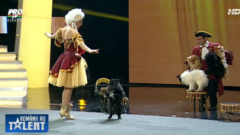 Inca o data, cateii au talent. Cel mai elaborat numar de dresura canina prezentat in sezonul 4 de 