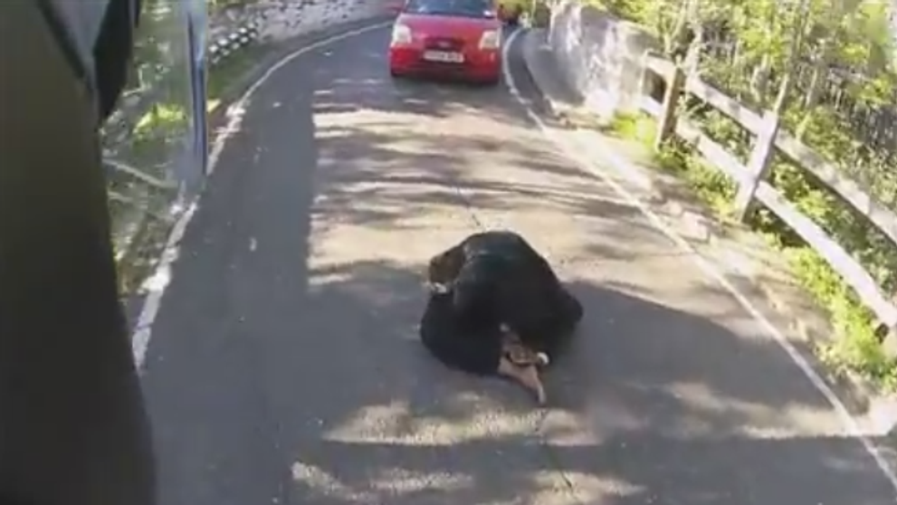 Toti au vazut ca le bloca drumul, dar nu au facut nimic. Ce s-a intamplat cand a aparut un motociclist