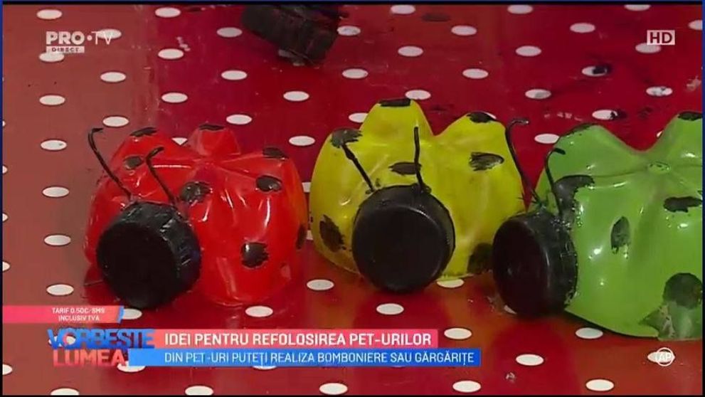 VIDEO Idei pentru refolosirea pet-urilor