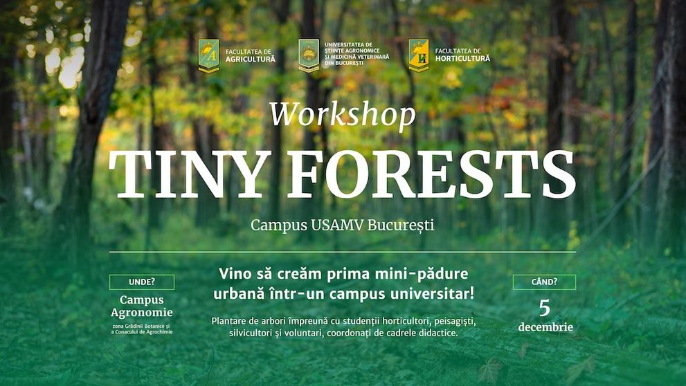 (P) Prima mini-pădure dintr-un campus universitar din România va prinde viață la USAMV București. O mică pădure urbană cu 6000 de arbori și arbuști autohtoni