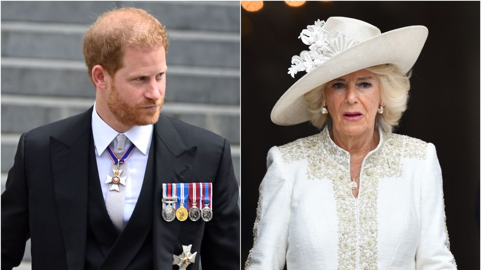 Cele patru cuvinte folosite de Prințul Harry ca să o descrie pe Camilla, mama lui vitregă. Așa a distrus pentru totdeauna relația dintre ei