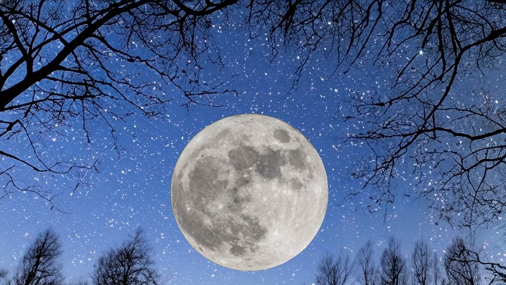 Fenomen astronomic unic pe 15 decembrie. Luna Rece va face spectacol pe cer în prag de sărbători