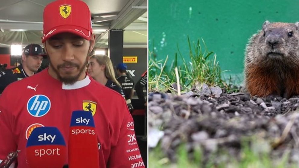 Momentul în care Lewis Hamilton lovește o marmotă la Grand Prix-ul Canadei: Sunt devastat! - VIDEO