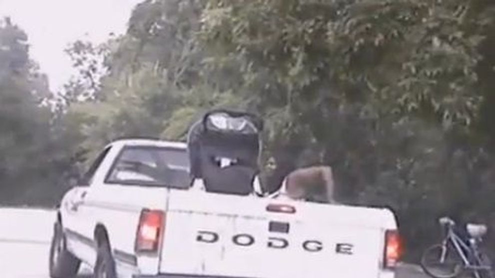 VIDEO / Cum sa NU iti plimbi niciodata copilul cu masina