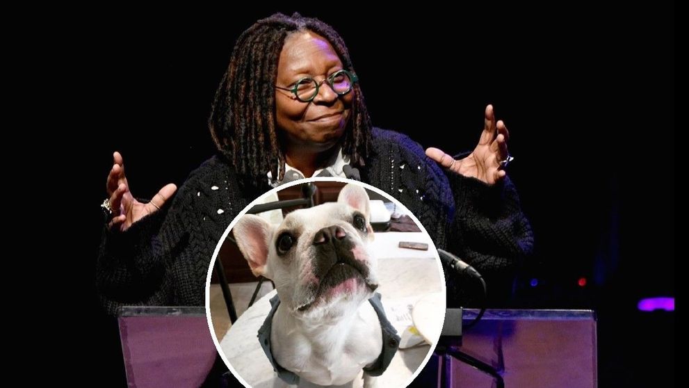 Whoopi Goldberg își însoară câinele cu o „englezoaică” get-beget. Actrița face petrecere mare