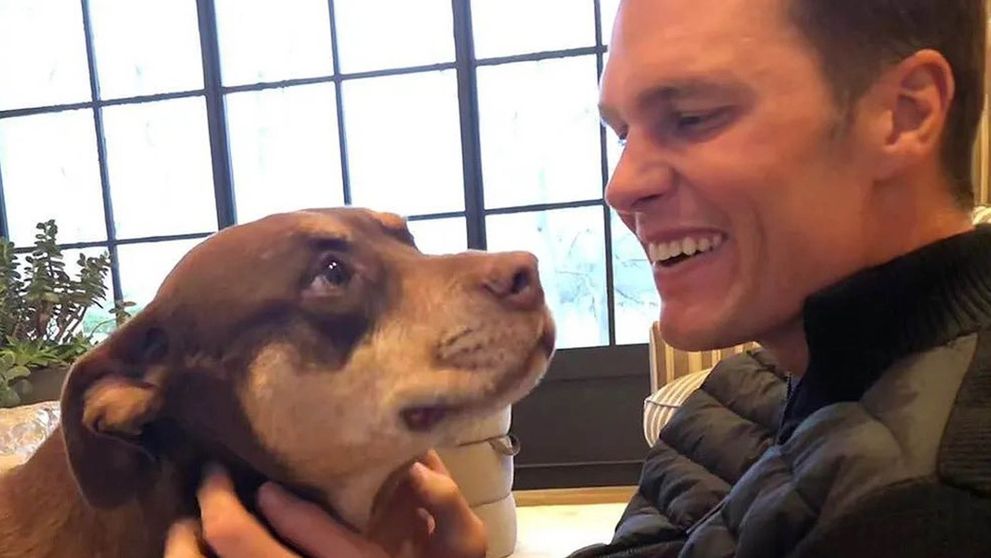 Tom Brady a dezvăluit că și-a clonat câinele! Junie este, de fapt, o clonă a câinelui său decedat, Lua. Cum a fost posibil și cât l-a costat toată procedura