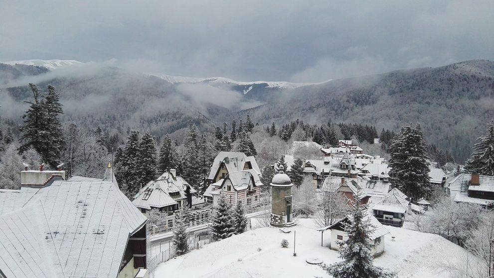 Cod galben de ninsori abundente și viscol în România. Zonele unde se va depune strat consistent de zăpadă