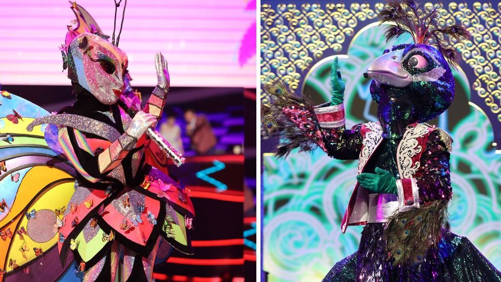 Duelul dintre Fluture și Păun. Cine și-a câștigat locul în finala Masked Singer România