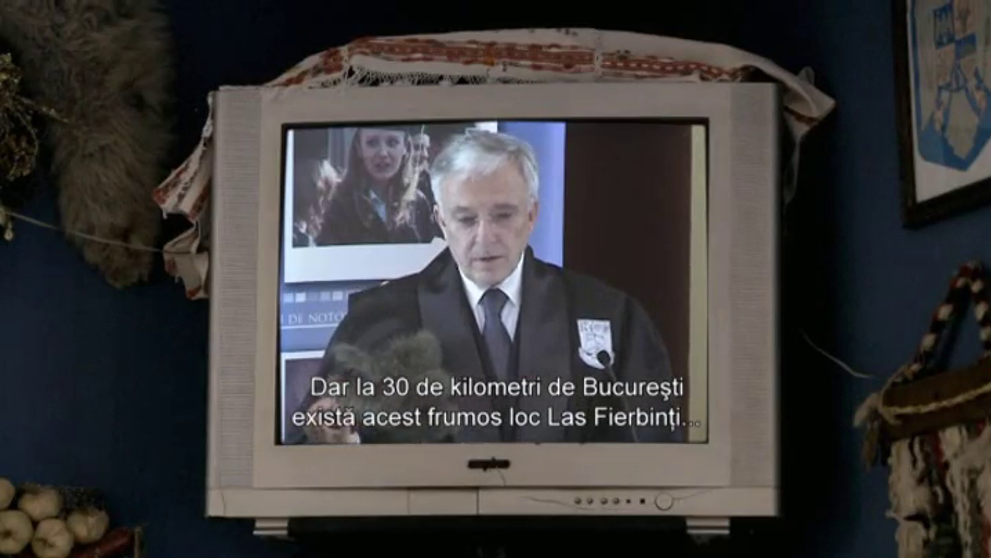Mugur Isarescu, 