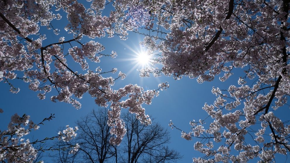 Cum va fi vremea de Paște. Meteorologii ANM au publicat prognoza meteo actualizată