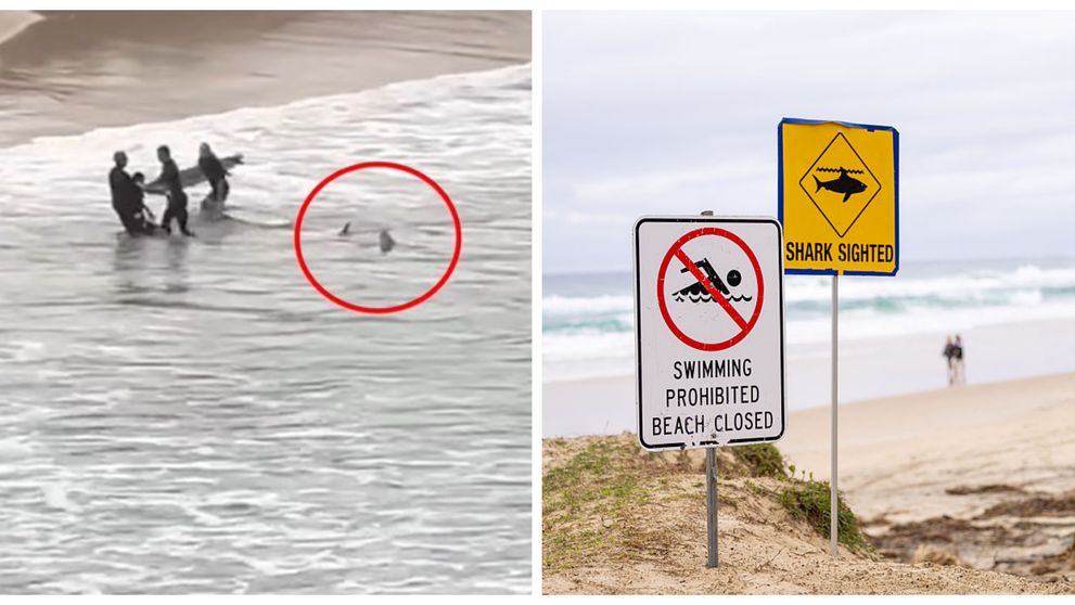 Momentul în care un surfer salvează un adolescent din colții unui rechin a fost filmat. Ce-au surprins camerele de supraveghere