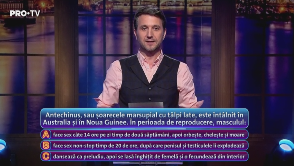 Andi Moisescu: 