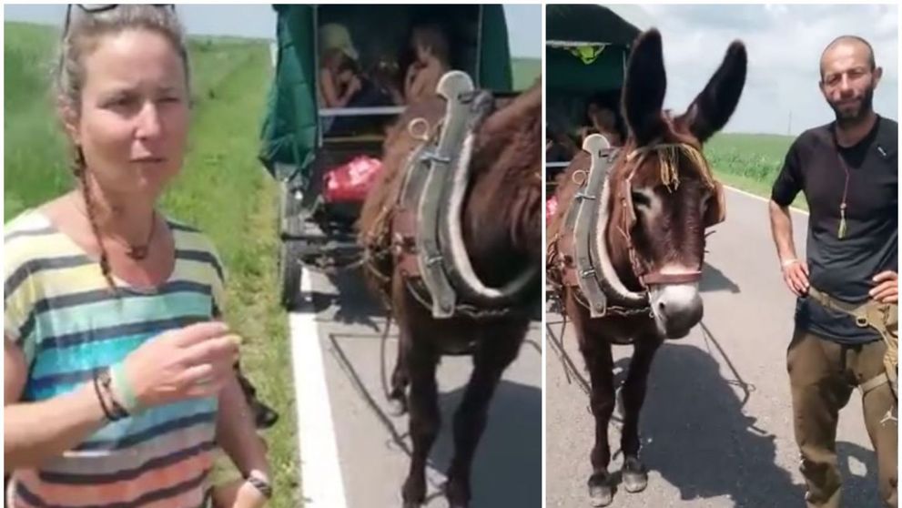 Francezii care călătoresc prin lume într-o căruță cu măgar, despre România: ”Oamenii sunt minunați”