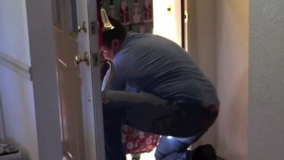 Au gasit o cutie imensa pe veranda casei. Ce au desciperit cand s-au uitat in interior. Cadoul pe care nu il vor uita