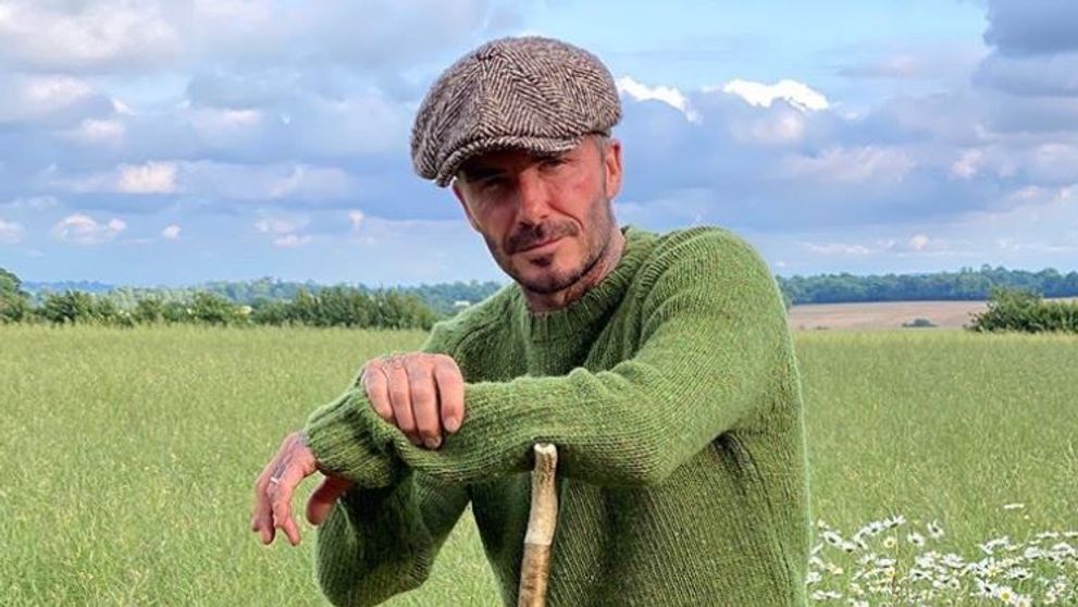 David Beckham își construiește lac artificial pe domeniul impresionant de la țară