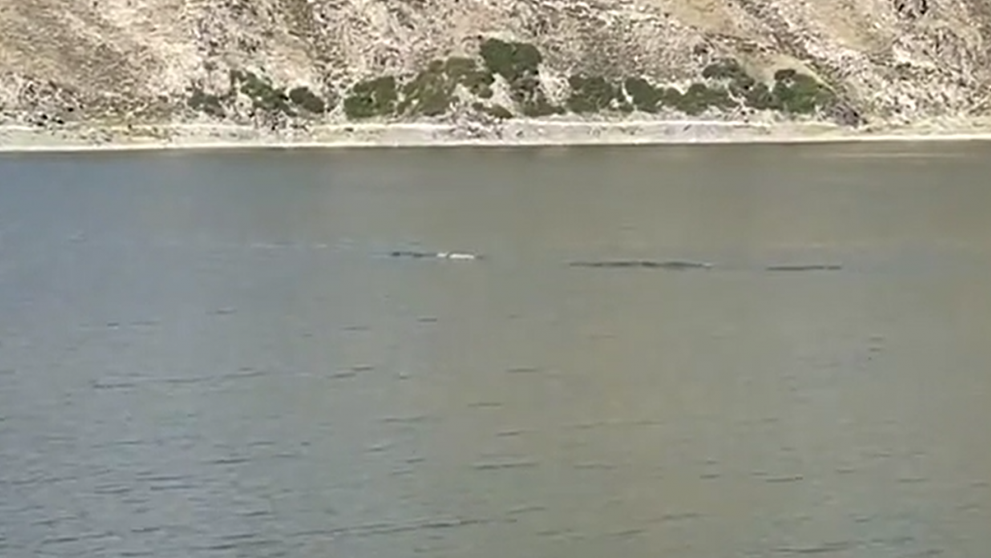 „Fratele” monstrului din Loch Ness, văzut într-un lac, în China: „O creatură lungă, argintie”